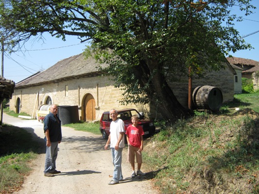 Putevi vina