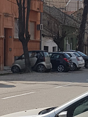Pančevo - Milenko Prvački