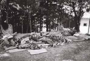 Vevčanci u Skoplju, 1987.