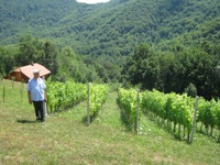 Ko misli da Zagorci ne vole svoje domaće vino, čak i iz vinograda sa visine od 900 metara, varaju se. Ovde ju kult vina i rakije, kao hleb i so, odomaćen od davnina.