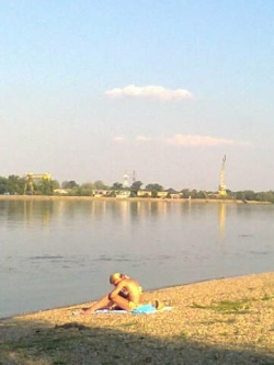 Usamljena kupačica. Pozno leto na Dunavu kod Negotina, septembar 2016. Preko je rumunska obala Dunava.