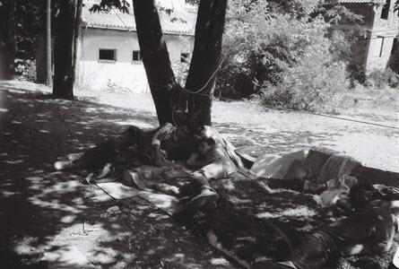 Vevčani u Skoplju, 1987.