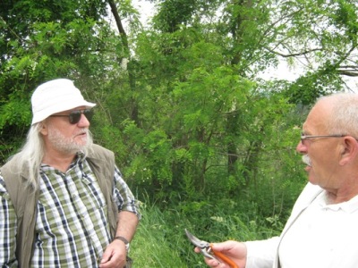 Željko Marković