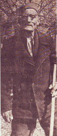 Stojan Pokimica